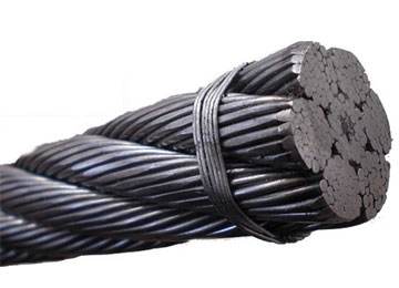 CA88����(�й���) - Ψһ�ٷ���վ