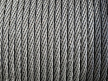 ��˿����Ǯ