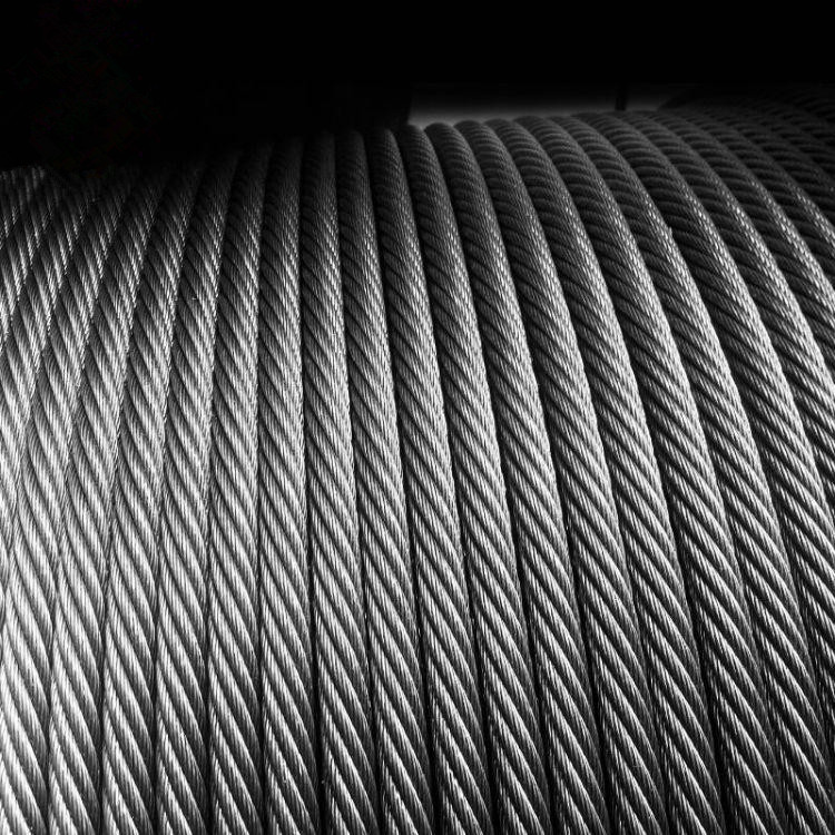 ������˿��