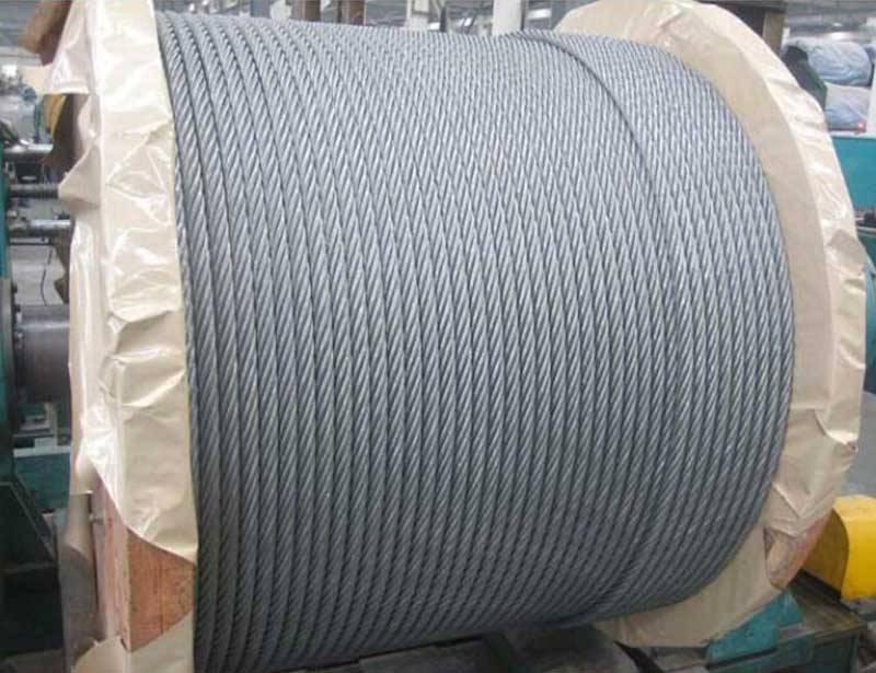 ��˿����������